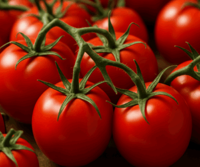 fda tomato recall salmonella